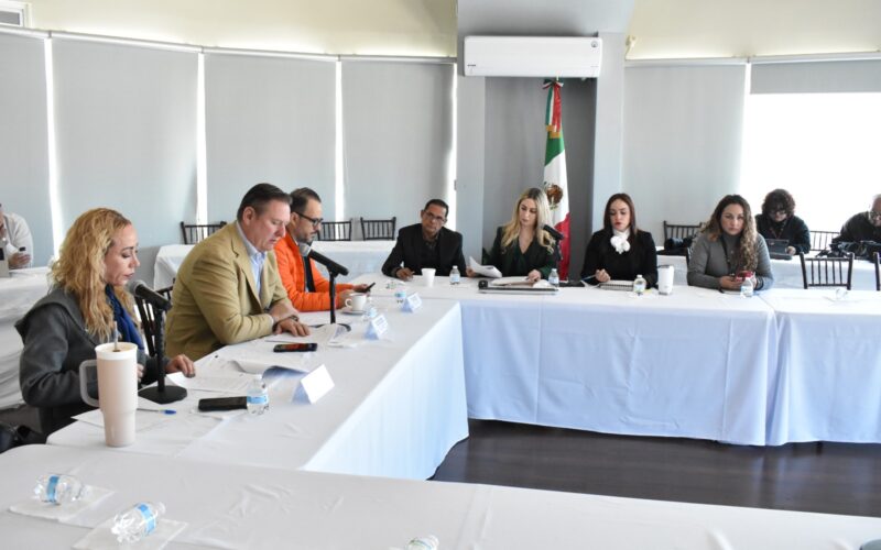 Avanza en comisión propuesta para impulsar el desarrollo económico de madres jefas de familia – Martillo Rojo Noticias