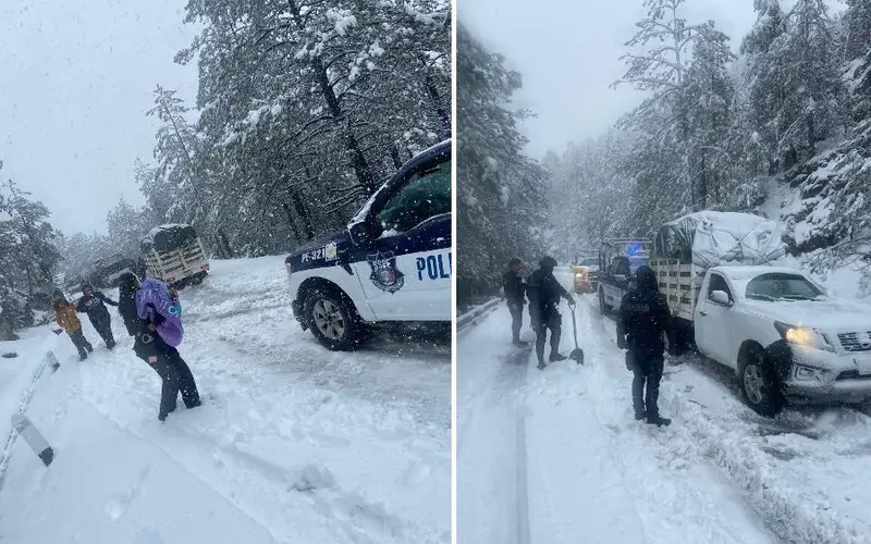 Rescata SSPE a cuatro mujeres y dos menores varados por nieve en Guadalupe y Calvo – Martillo Rojo Noticias