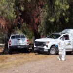 Localizan 25 cuerpos en fosa clandestina de Juventino Rosas; Fiscalía reportó menos hallazgos – Martillo Rojo Noticias