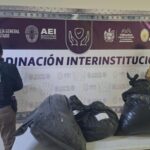 Aseguran más de 34 kilos de mariguana en carretera Chihuahua-Aldama – Martillo Rojo Noticias