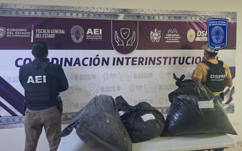 Aseguran más de 34 kilos de mariguana en carretera Chihuahua-Aldama – Martillo Rojo Noticias