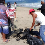 gobierno de Veracruz minimiza, pescadores reportan daños – Martillo Rojo Noticias