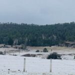 Granizada sorprende a Bocoyna y cubre de blanco la comunidad de El Realito – Martillo Rojo Noticias