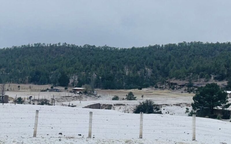 Granizada sorprende a Bocoyna y cubre de blanco la comunidad de El Realito – Martillo Rojo Noticias