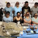 Detienen en Veracruz a hermano de delegada del Bienestar con presunta droga – Martillo Rojo Noticias