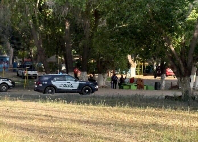 Riña campal en Los Álamos deja tres heridos con arma blanca en Aldama – Martillo Rojo Noticias