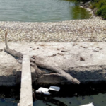 descartan hidrocarburos y señalan alteración del agua – Martillo Rojo Noticias