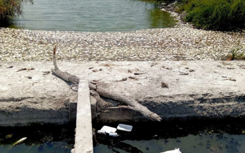 descartan hidrocarburos y señalan alteración del agua – Martillo Rojo Noticias